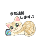 元保護猫・茶トラのチャッピー日常スタンプ（個別スタンプ：6）