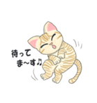 元保護猫・茶トラのチャッピー日常スタンプ（個別スタンプ：7）