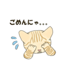 元保護猫・茶トラのチャッピー日常スタンプ（個別スタンプ：10）