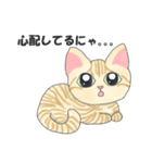 元保護猫・茶トラのチャッピー日常スタンプ（個別スタンプ：14）