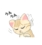 元保護猫・茶トラのチャッピー日常スタンプ（個別スタンプ：17）