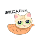 元保護猫・茶トラのチャッピー日常スタンプ（個別スタンプ：19）