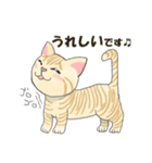 元保護猫・茶トラのチャッピー日常スタンプ（個別スタンプ：20）