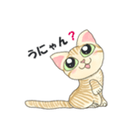元保護猫・茶トラのチャッピー日常スタンプ（個別スタンプ：22）