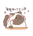 ゆるねこ☆スーパー猫の日☆（個別スタンプ：39）