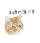 ほごねことくらす（個別スタンプ：3）
