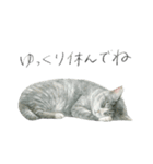 ほごねことくらす（個別スタンプ：7）