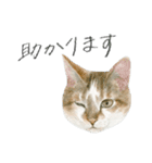 ほごねことくらす（個別スタンプ：8）