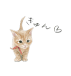 ほごねことくらす（個別スタンプ：11）