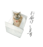 ほごねことくらす（個別スタンプ：18）