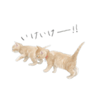 ほごねことくらす（個別スタンプ：20）