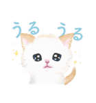 こねこず（個別スタンプ：1）