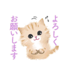 こねこず（個別スタンプ：16）