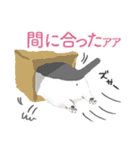 こねこず（個別スタンプ：29）