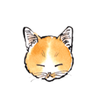 Cats in the room.（個別スタンプ：2）