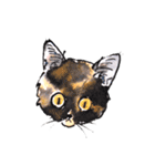 Cats in the room.（個別スタンプ：3）