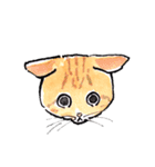 Cats in the room.（個別スタンプ：4）