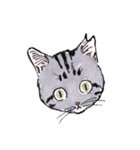 Cats in the room.（個別スタンプ：5）