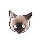 Cats in the room.（個別スタンプ：6）