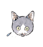 Cats in the room.（個別スタンプ：7）