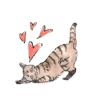 Cats in the room.（個別スタンプ：8）