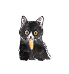 Cats in the room.（個別スタンプ：10）