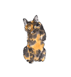 Cats in the room.（個別スタンプ：11）