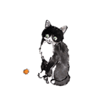 Cats in the room.（個別スタンプ：13）