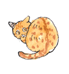 Cats in the room.（個別スタンプ：14）