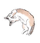 Cats in the room.（個別スタンプ：17）