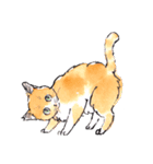 Cats in the room.（個別スタンプ：18）