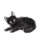 Cats in the room.（個別スタンプ：20）