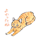 Cats in the room.（個別スタンプ：24）