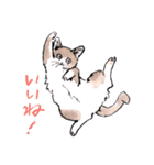 Cats in the room.（個別スタンプ：25）