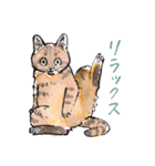 Cats in the room.（個別スタンプ：26）