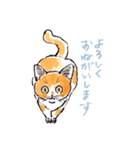 Cats in the room.（個別スタンプ：28）