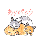 Cats in the room.（個別スタンプ：29）