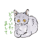 Cats in the room.（個別スタンプ：30）