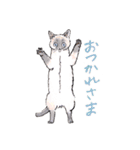 Cats in the room.（個別スタンプ：37）