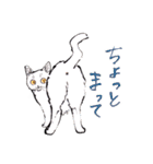 Cats in the room.（個別スタンプ：40）