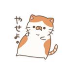 NEKOMANMA：ねこまんま（個別スタンプ：39）