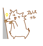 猫だ。そしてラグドールだ！（個別スタンプ：15）