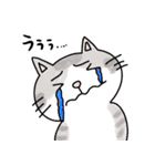 ほのぼのねこ様（個別スタンプ：15）