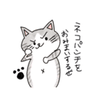 ほのぼのねこ様（個別スタンプ：16）