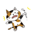 ほのぼのねこ様（個別スタンプ：34）