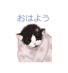 子猫の春太郎の毎日【BIGスタンプ】（個別スタンプ：3）