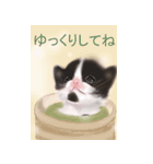 子猫の春太郎の毎日【BIGスタンプ】（個別スタンプ：6）