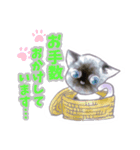 ねこ 敬語 にゃー（個別スタンプ：5）