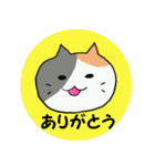 いろんなねこさんの毎日スタンプ（個別スタンプ：4）