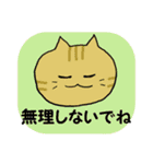 いろんなねこさんの毎日スタンプ（個別スタンプ：6）